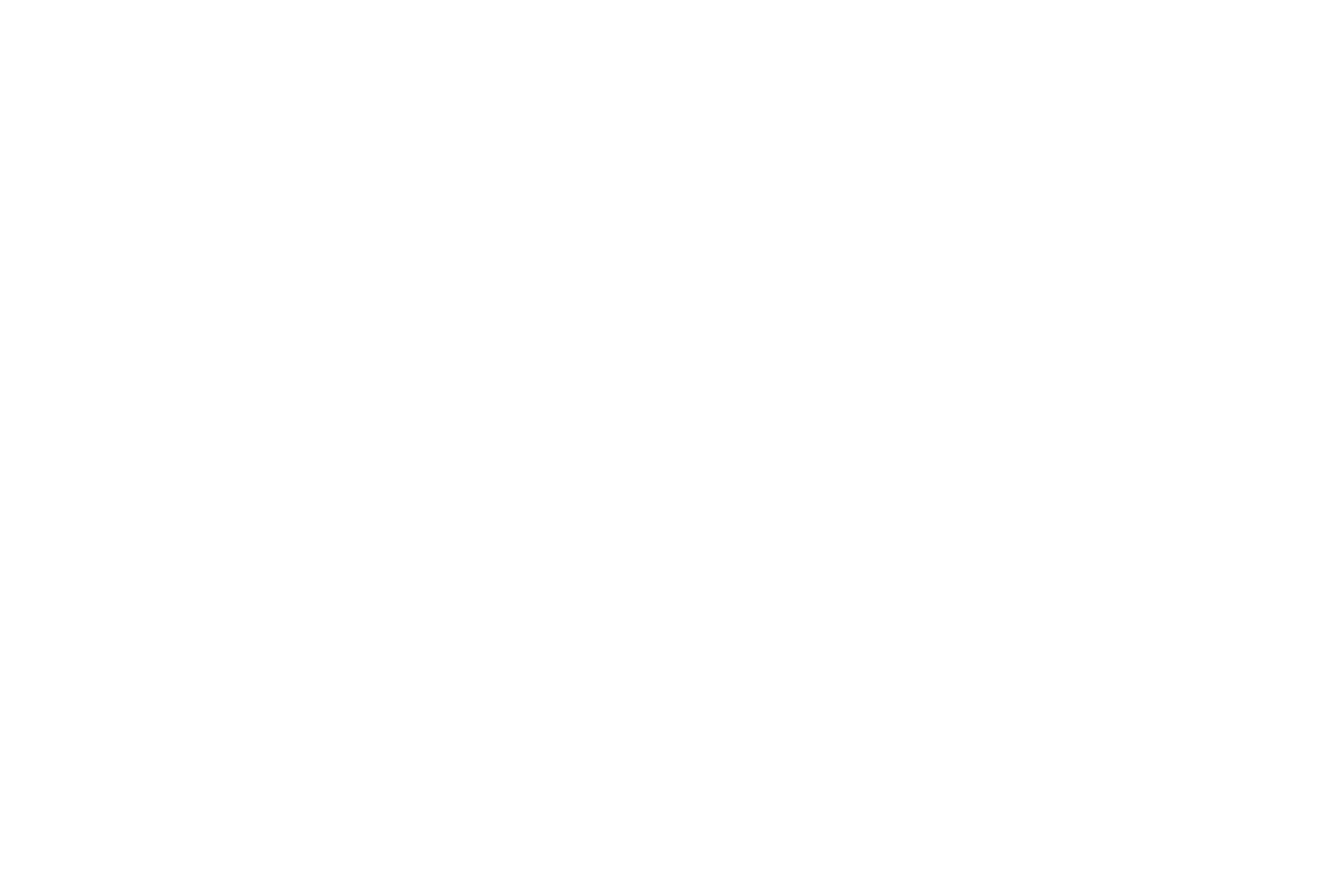 PaintPera